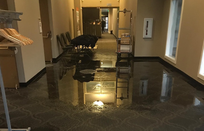 water damage restoration professionals at work in New York